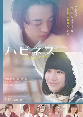 电影《山与城之间》档案卡片海报